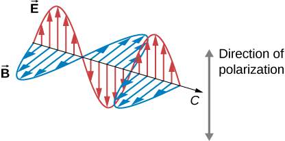 A part of an electromagnetic wave moving with velocity c is shown at one instant in time. The two vector components, E and B, are shown and are perpendicular to one another and to the direction of propagation. The vectors representing the magnitude and direction of E, shown as arrows whose tails lie on the line of propagation of the wave, form a sine wave in one plane. Similarly, the B vectors form a sine wave in a plane perpendicular to the E wave. The E and B waves are in phase. The direction of polarization is given by the direction of the E vectors.