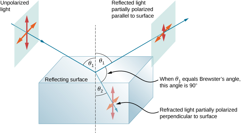 The figure is a diagram that shows a block of glass in air.  The reflecting surface is horizontal. A ray labeled unpolarized light starts at the upper left and hits the center of the block, at an angle theta one to the vertical. Centered on this incident ray is are two double headed arrows, one horizontal and the other vertical. From the point where this ray hits the glass block, two rays emerge. One is the reflected ray that goes up and to the right at an angle of theta one to the vertical, and the second is a refracted ray that goes down and to the right at an angle of theta two to the vertical. The reflected light is labeled as partially polarized parallel to the surface. Two double headed arrows, similar to those on the incident ray, are shown centered on the reflected ray, but the vertical arrow is significantly shorter than the horizontal one. The refracted ray is labeled as partially polarized perpendicular to the surface. Two double headed arrows, similar to those on the incident ray, are shown centered on the reflected ray, but the horizontal arrow is significantly shorter than the vertical one. A note indicates that when theta one equals Brewster’s angle, the angle between the reflected and refracted ray is ninety degrees.