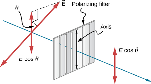 This figure provides additional details to the schematics of the two previous figures. In this figure, only one of the E vectors of the randomly polarized source light are shown to the left of the vertically oriented polarizing filter, along with the component of that vector parallel to the filter. The vector E is at an angle of theta to the vertical. The vertical component of the E vector is E cosine theta. After passing through the filter, the light has only vertical E, with magnitude E cosine theta.