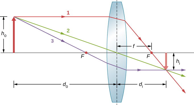 Figure shows the cross section of a bi-convex lens. Three rays originate from the top of an object and enter the lens. Ray 1 is parallel to the optical axis. Ray 2 crosses the center of the lens. Ray 3 crosses the focal point in front of the lens. All rays converge on the other side at the top of an inverted image. Ray 1 crosses the focal point behind the lens. Ray 2 is undeviated. Ray 3 becomes parallel to the optical axis. The object distance and image distances are d subscript o and d subscript I respectively. The object and image heights are h subscript o and h subscript I respectively. The focal length is f.