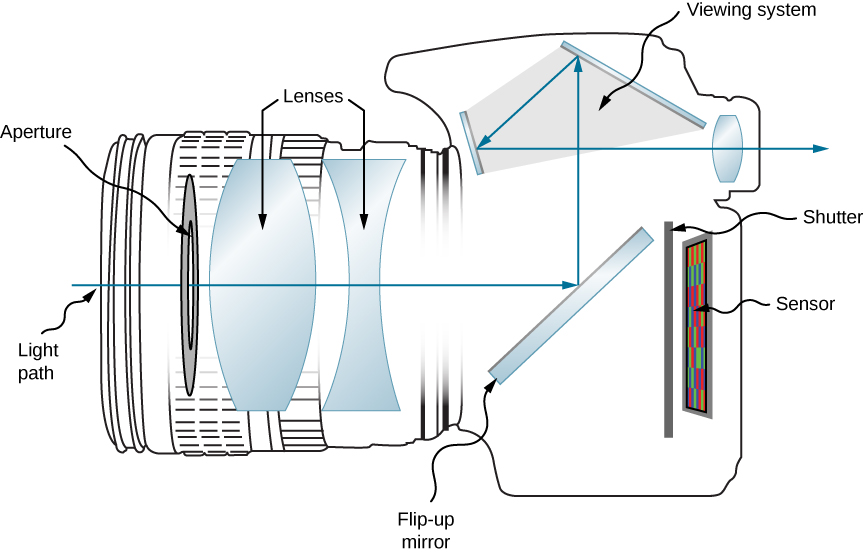 Figure shows the side view of a digital camera. At the front of the camera is a disc labeled aperture, followed by a bi-convex lens, a bi-concave lens, a slanted mirror labeled flip-up mirror, a shutter and a sensor. The light path is shown such that light enters the camera through the aperture and lenses and strikes the mirror. It is reflected upwards to the viewing system. Here it reflects from two more mirrors before going through a bi-convex lens and emerging out of the camera.