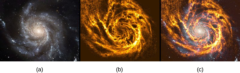 Three telescope images of the pinwheel galaxy. In figure a, the image is of visible light. The galaxy appears as a collection of stars, very dense in the center and with spiraling arms. Figure b is the 21 c m radiation image. The spiral nature is more distinct in this image, and the central bulge is absent. Figure c overlays both the visible and 21 c m images.