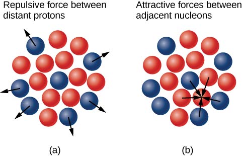 Figure a shows a cluster of small red and blue circles. There is a blue proton in the center, surrounded by red neutrons. There are more protons at the periphery, which have arrows pointing outwards. Figure b shows the same cluster. Arrows show both protons and neutrons being attracted towards an adjacent neutron.