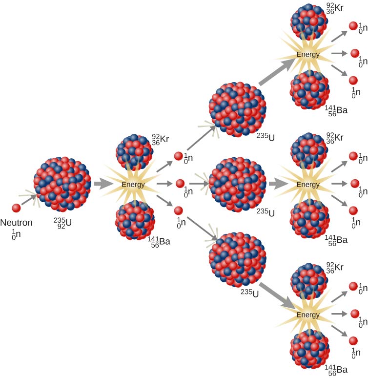 A fission chain reaction is shown in stages. A neutron first strikes the nucleus of 235 U. This splits into two fragments, 92 Kr and 141 Ba, along with the release of three neutrons. Each of these three neutrons strikes a separate nucleus of 235 U. The three nuclei all split into two fragments each, of 92 Kr and 141 Ba. Three neutrons are released by each fission, bringing the total of released neutrons up to 9.