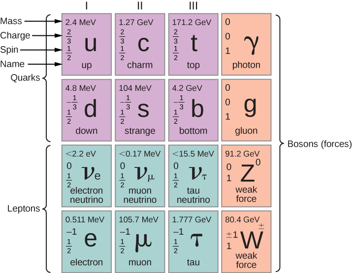 This is a table with four rows and four columns. The first three cells in the first and second rows are labeled quarks. The first three cells in the third and fourth rows are labeled leptons. The last column is labeled bosons, forces. Each cell has the name of a particle, it’s symbol, mass, charge, and spin. In the first row, these values, in that order, are: cell one: up, u, 2.4 MeV, 2 by 3, 1 by 2; cell two: charm, c, 1.27 GeV, 2 by 3, 1 by 2; cell three, top, t, 171.2 GeV, 2 by 3, 1 by 2; cell four: photon, gamma, 0, 0, 1. In row two, these values, in that order, are: cell one: down, d, 4.8 MeV, minus 1 by 3, 1 by 2; cell two: strange, s, 104 MeV, minus 1 by 3, 1 by 2; cell three: bottom, b, 4.2 GeV, minus 1 by 3, 1 by 2; cell four: gluon, 0, 0, 1. In row three, these values, in that order, are: cell one: electron neutrino, v subscript e, less than 2.2 eV, 0, 1 by 2; cell two: muon neutrino, v subscript mu, less than 0.17 MeV, 0, 1 by 2; cell three: tau neutrino, v subscript tau, less than 15.5 MeV, 0, 1 by 2; cell four: weak force, z raised to 0, 91.2 GeV, 0,1. In row four, these values, in that order, are: cell one: electron, e, 0.511 MeV, minus 1, 1 by 2; cell two: muon, mu, 105.7 MeV, minus 1, 1 by 2; cell three: tau, tau, 1.777 GeV, minus 1, 1 by 2; weak force, w plus minus, 80.4 GeV,  plus minus 1, 1.