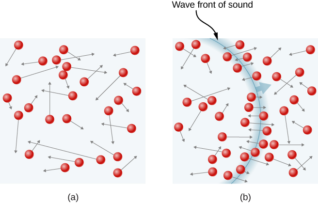 In part a of the figure, circles represent molecules distributed in a gas. An arrow at each circle represents the molecule’s velocity vector. The locations of the molecules and their velocity magnitudes and directions are all randomly distributed. In part b of the figure, an arc represents the wave front of a sound wave in the gas. The velocities of molecules near the arc are oriented roughly perpendicular to the arc, and therefore parallel to the propagation direction of the wave.