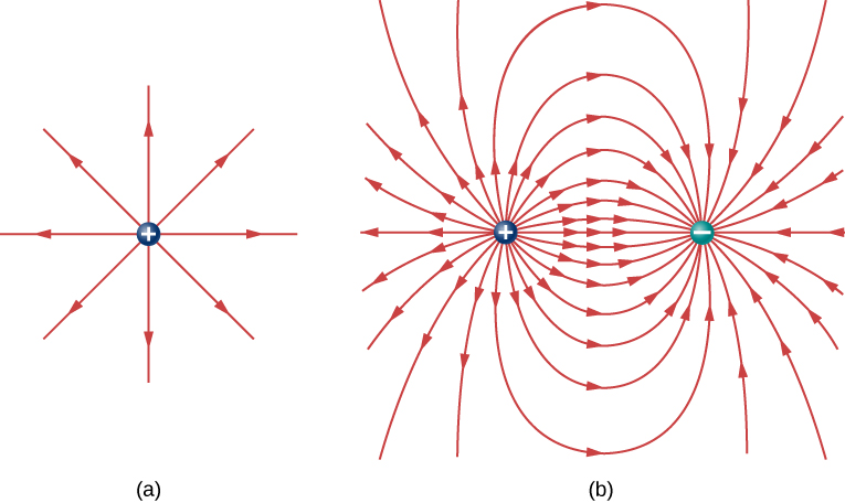 In part a, electric field lines emanating from a positive charge are shown as straight arrows radiating out from the charge in all directions. In part b, a pair of charges is shown, with one positive and the other negative. The field lines are represented by curved arrows. The arrows start from the positive charge, radiating outward but curving to end at the negative charge. The outer field lines extend beyond the drawing region, but follow the same behavior as those that are within the drawing area.