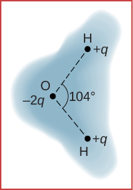 A schematic representation of the outer electron cloud of a neutral water molecule is shown. Three atoms are at the vertices of a triangle. The hydrogen atom has positive q charge and the oxygen atom has minus two q charge, and the angle between the line joining each hydrogen atom with the oxygen atom is one hundred and four degrees. The cloud density is shown as being greater at the oxygen atom.