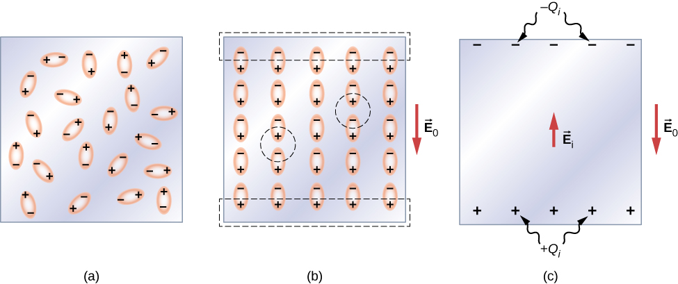 Figure a shows a dielectric material with oblong shaped molecules within it. Each molecule has a plus sign on one side and a minus sign on the other. They are all randomly arranged. Figure b shows the same molecules now perfectly aligned in rows and columns, with the negative end of each molecule on the upper side. An external electric field E0 points downwards. A dashed line encompasses the negative signs of all the molecules in the topmost row. Similarly, a dashed line encompasses the positive signs of all the molecules in the bottommost row. Figure c shows negative signs at the top of the dielectric, labeled minus Qi, and positive signs at the bottom, labeled plus Qi. The induced field Ei within the dielectric, points upwards.