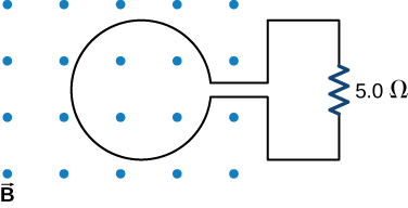 Figure shows a loop with the magnetic flux perpendicular to the loop. Loop is connected to a 5 Ohm resistor.