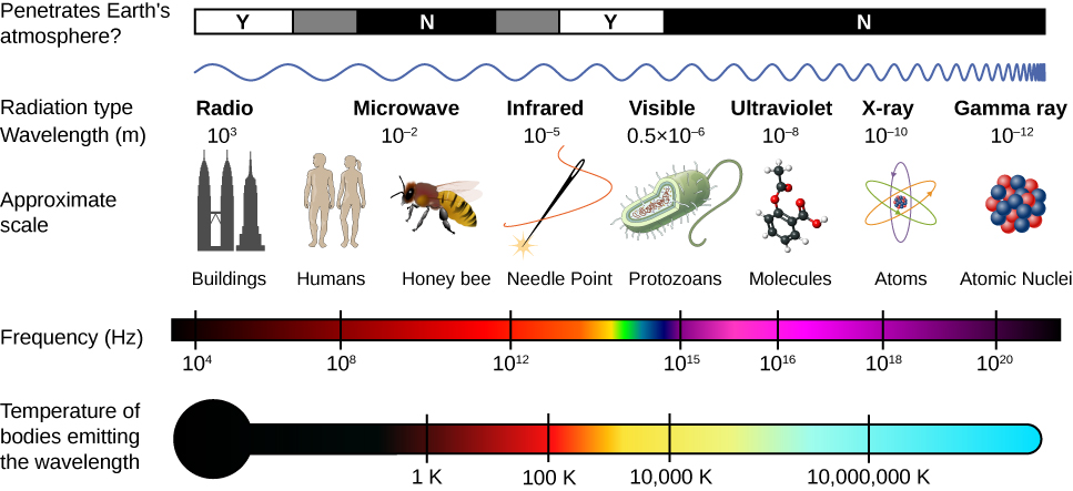 X Rays The Electromagnetic Spectrum By Openstax Page Jobilize