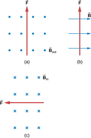 Case a: B is out of the page, F is up. Case b: B is to the right, F is up. Case c: B is into the page, F is to the left.