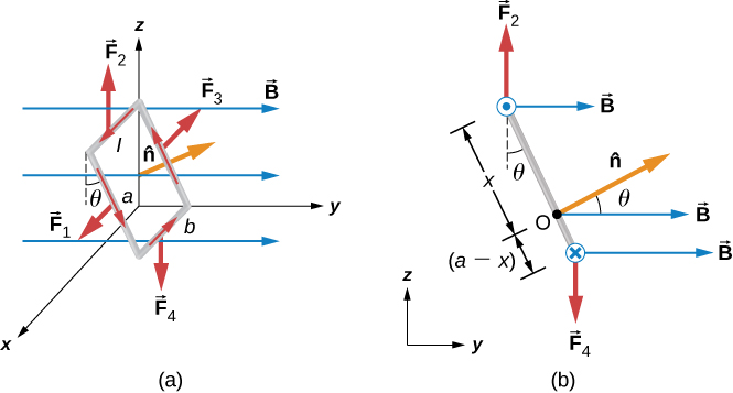 An illustration of a rectangular loop carrying a current I. The current in the loop is counterclockwise when viewed from the positive y direction looking toward the origin. The loop is in a uniform magnetic field, B, that is pointing to the right. Figure a shows a 3 dimensional view of the loop. The top and bottom sides are parallel to the x axis and have length b. The top side is at y=0 and positive z with current in the positive x direction. The bottom side is at a positive y and z=0 and has current in the negative x direction. The remaining two sides have length b. One is at x=0 and has current going up, and one is at positive x and has current going up. These sides are tilted at an angle theta at the top with respect to the z axis. The direction of the unit vector n hat normal to the area of the rectangular loop is shown. The forces on each of the sides are also shown. F 1 is the force on the tilted side at positive x, and points in the positive x direction. F 2 is the force on the top side and points up. F 3 is the force on the tilted side at x=0 and points in the negative x direction. F 4 is the force on the bottom and points down. Figure b shows a side view of the loop, so that we are looking at the y z plane and see only the tilted side, which makes an angle of theta with the vertical at the top. The current is coming out at us at the top of the loop, and the current is going into the page at the bottom. The force F 2 on the top is up, the force F 4 on the bottom is down. The n hat vector points up and to the right, at an angle of theta to the field B. The pivot point O about which we are calculating the torque is shown a distance x from the top of the loop, and a-x from the bottom.