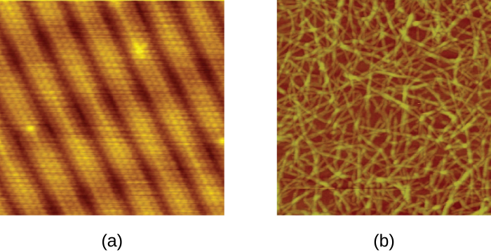 Micrograph a shows circle arranged in repeating rows. Micrograph b shows long strands in a pile.