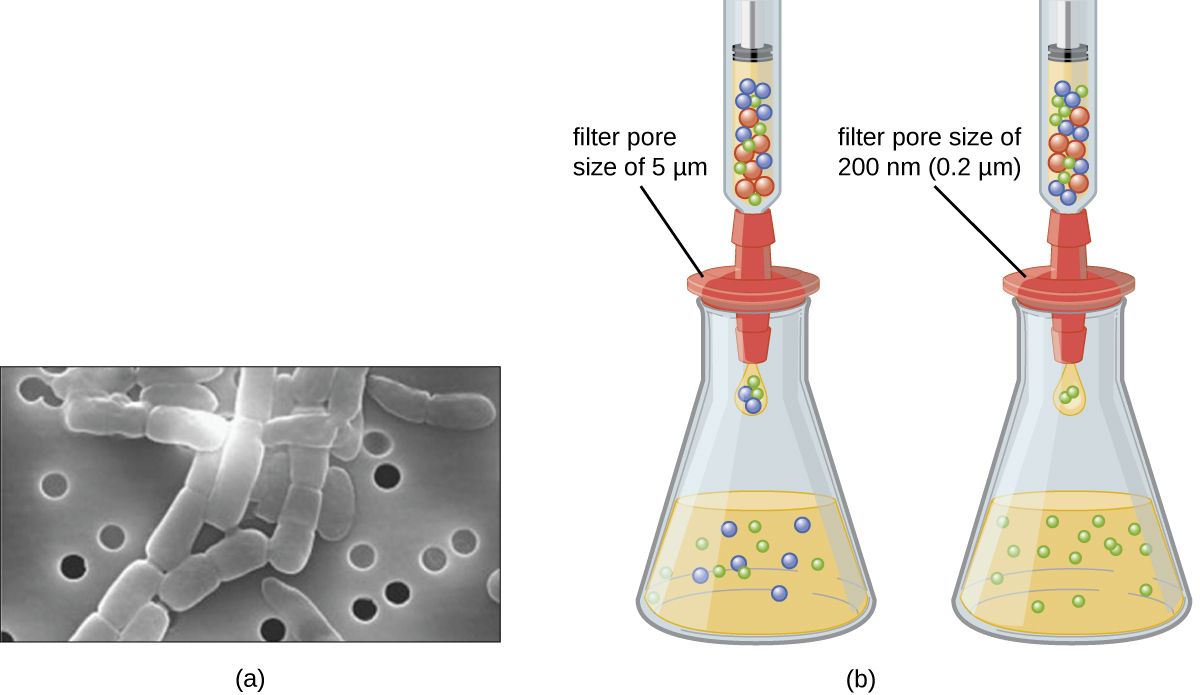 Figure a is an electron micrograph showing pores and bacteria that are larger than the pores. Figure b is a drawing showing three particles in a container above a flask. A filter pore size of 5 µm blocks the largest of the particles and lets the smaller two through. The filter pore size of 200 nm (0.2 µm) only allows only the smallest particles through.