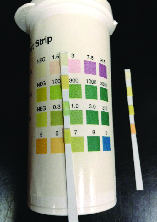 A thin strip with 4 colored regions. Each region matches a set of colors on a container. Each different color indicates a different measurement for a particular test.
