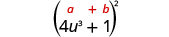 4 u cubed plus 1, in parentheses, squared. Above the expression is the general formula a plus b, in parentheses, squared.