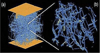 1.978 From Nano to Macro: Introduction to by Buehler @Massachusetts